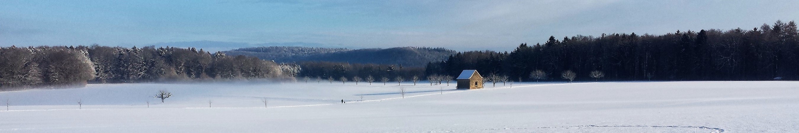 Winter in Wintersingen