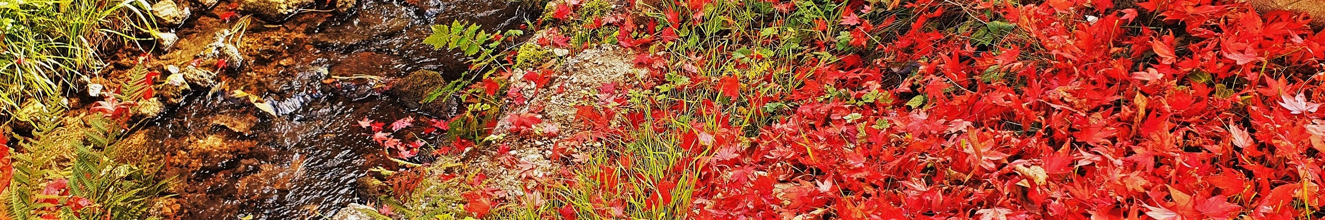 Herbst