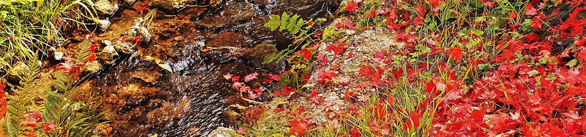 Herbst